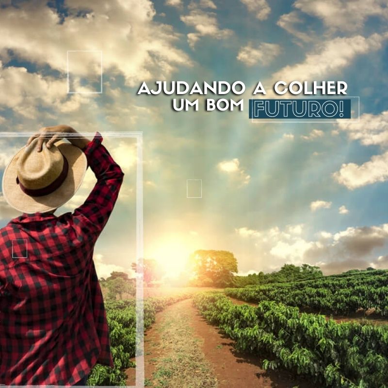Portal dos Ervais Agropecuaria